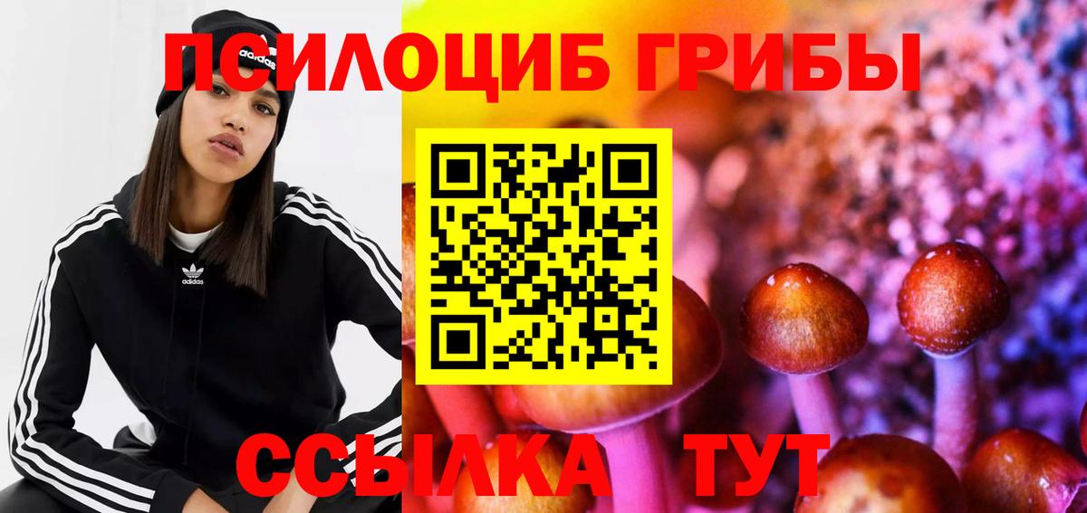 Галлюциногенные грибы Magic Shrooms  Вход с VPN  Еманжелинск  Псилоцибиновые грибы мухоморы 
